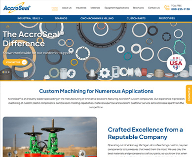 Web Design Portfolio Examples Illinois