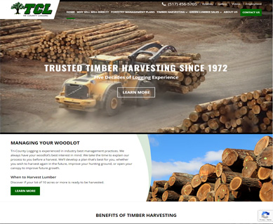 Website Portfolio Illinois